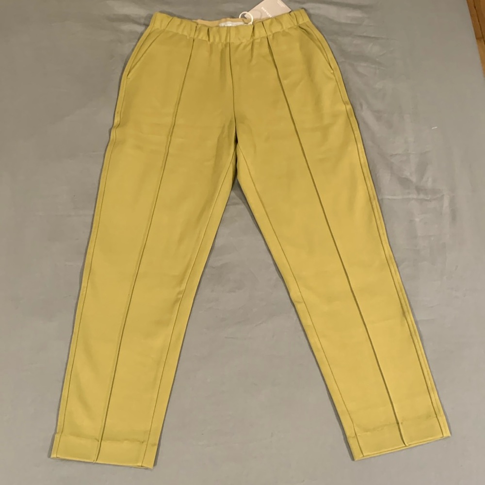 Everlane Jogger-Style Trousers in Olive (with tags!)